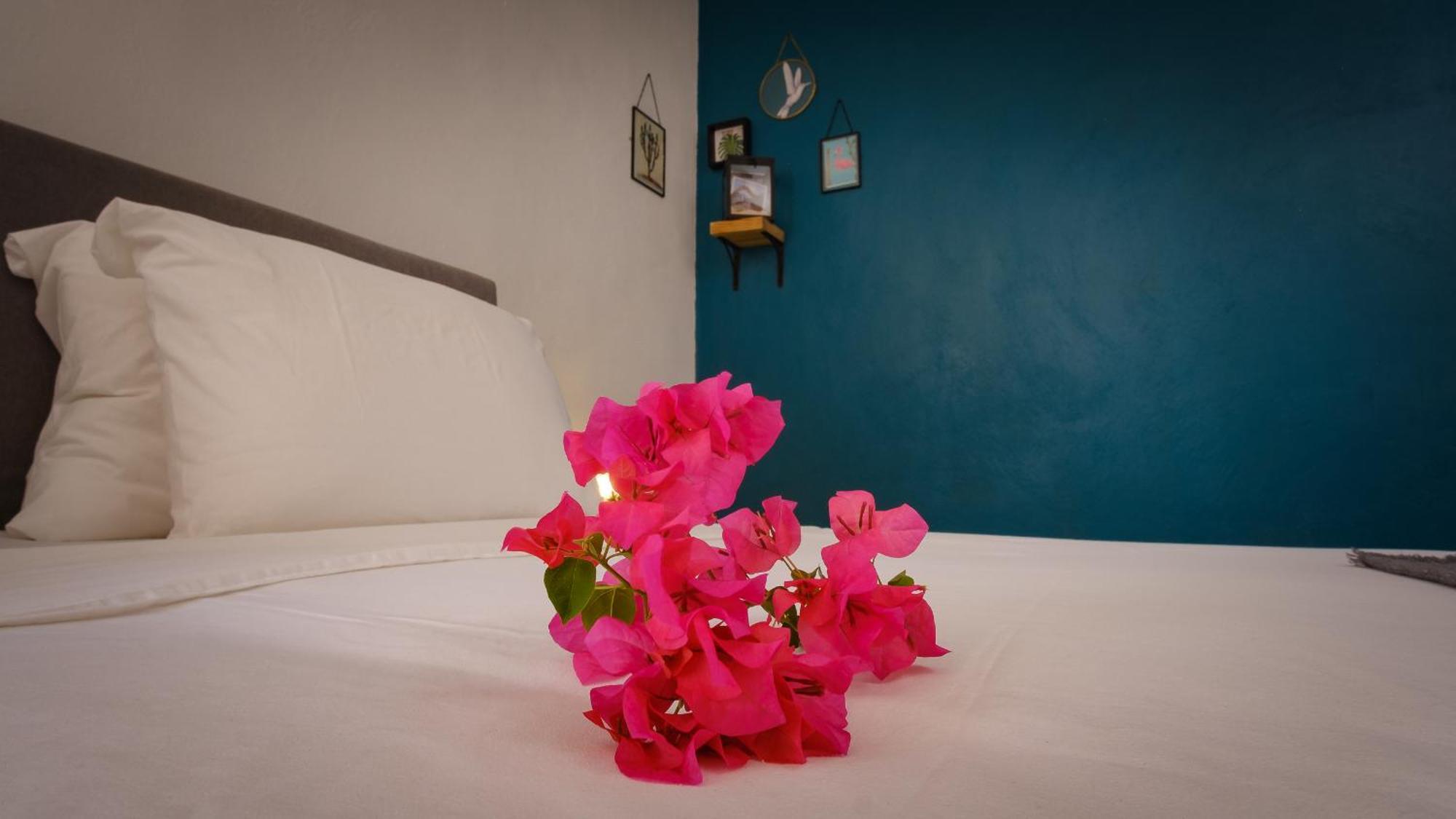 Saint Joris A Tiny Boutique Resort Willemstad Ngoại thất bức ảnh